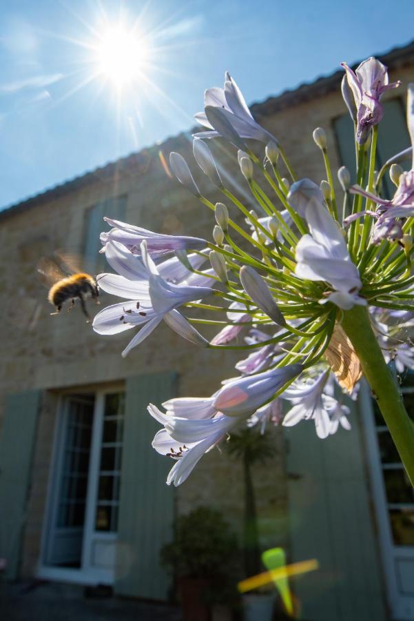 Gite Entre Bordeaux Et Saint-Emilion Genissac Luaran gambar